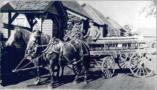Greenville SC Pepsi Cola delivery wagon 1916 